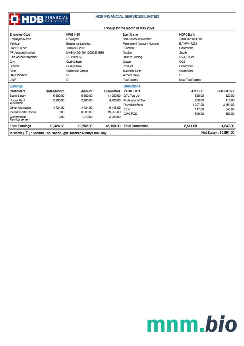 Szablon odcinka wypłaty HDB Financial Services w formatach Word i PDF